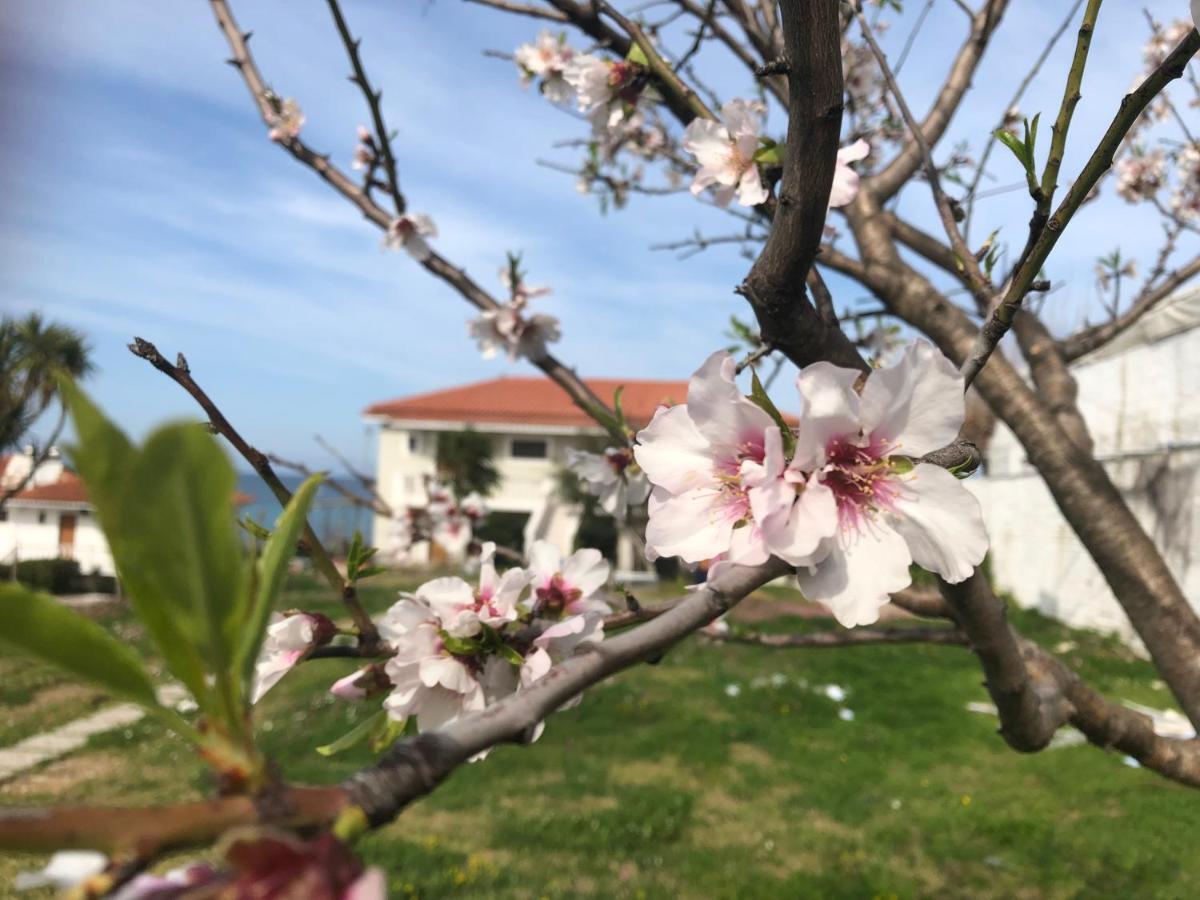 Diomare Villas Kypseli Екстериор снимка